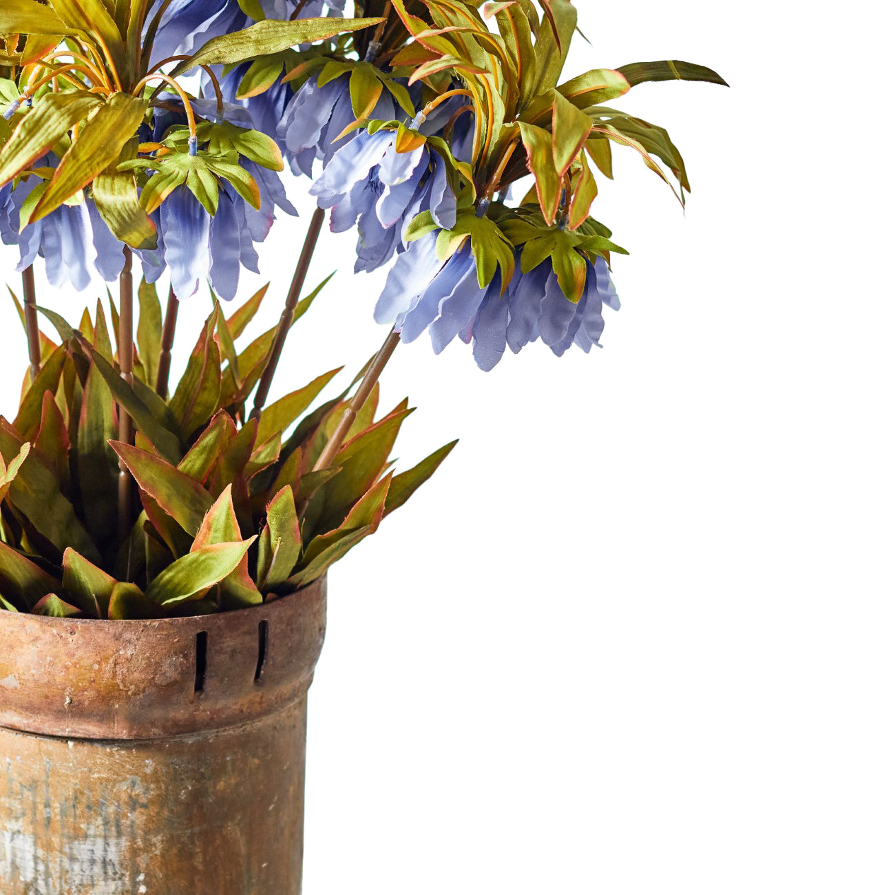 Faux Fritillaria Crown Blue Stem