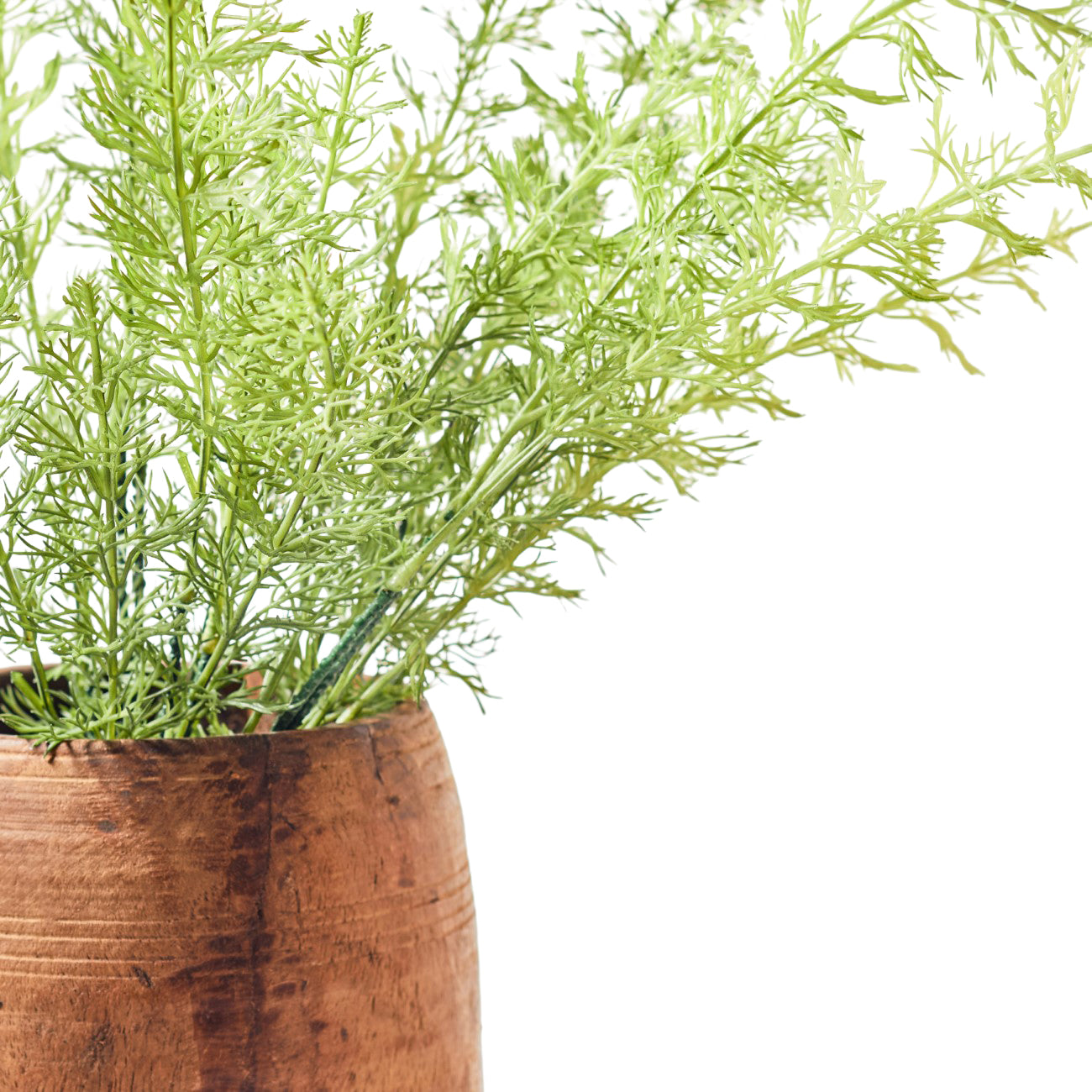 Faux Stem White Dill