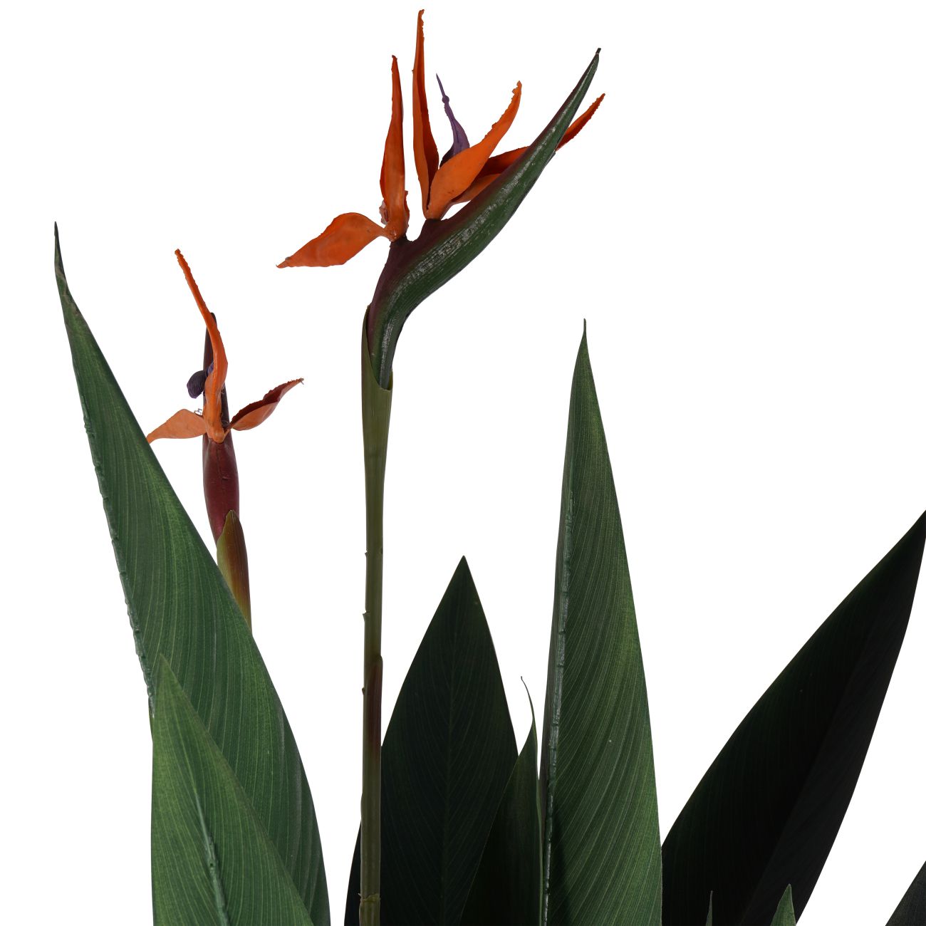Faux Flowering Bird of Paradise 4ft Plant