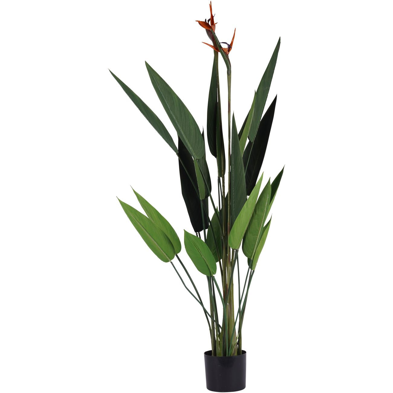 Faux Flowering Bird of Paradise 4ft Plant