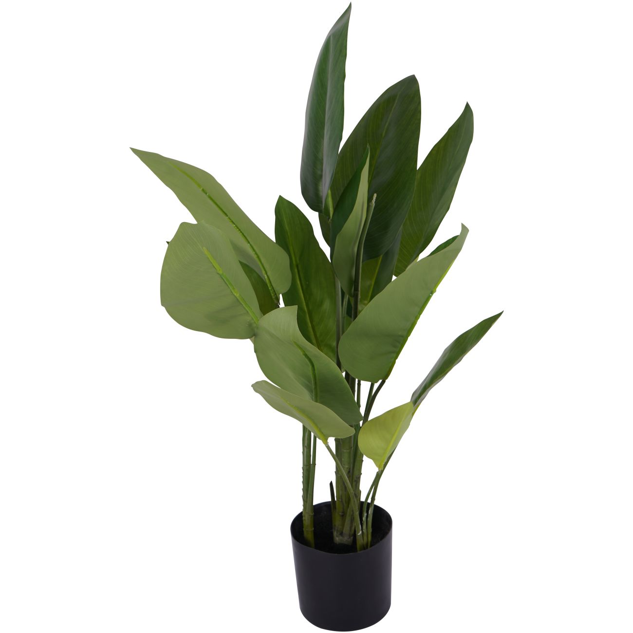 Faux Non Flowering Bird of Paradise