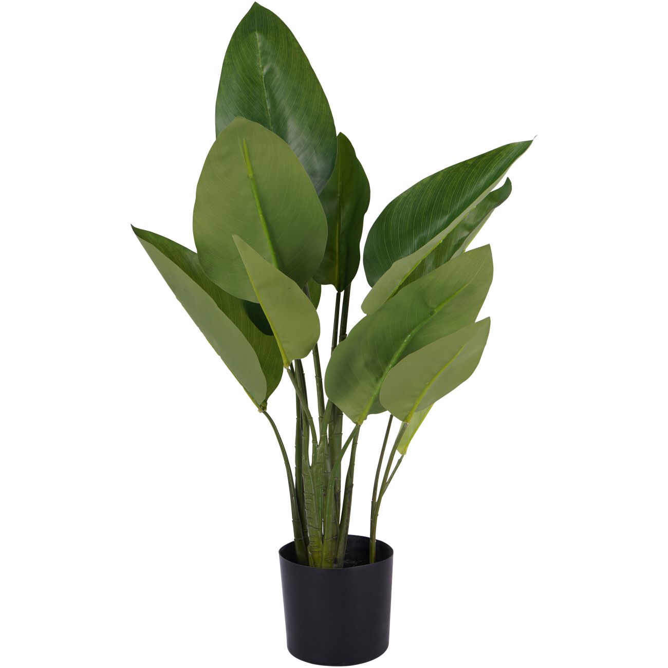 Faux Non Flowering Bird of Paradise