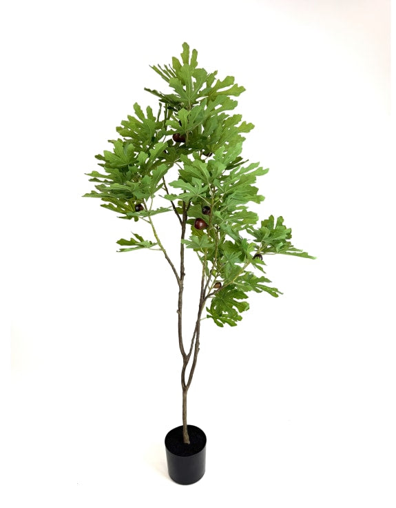 Large Faux Potted Fig Tree 160cm