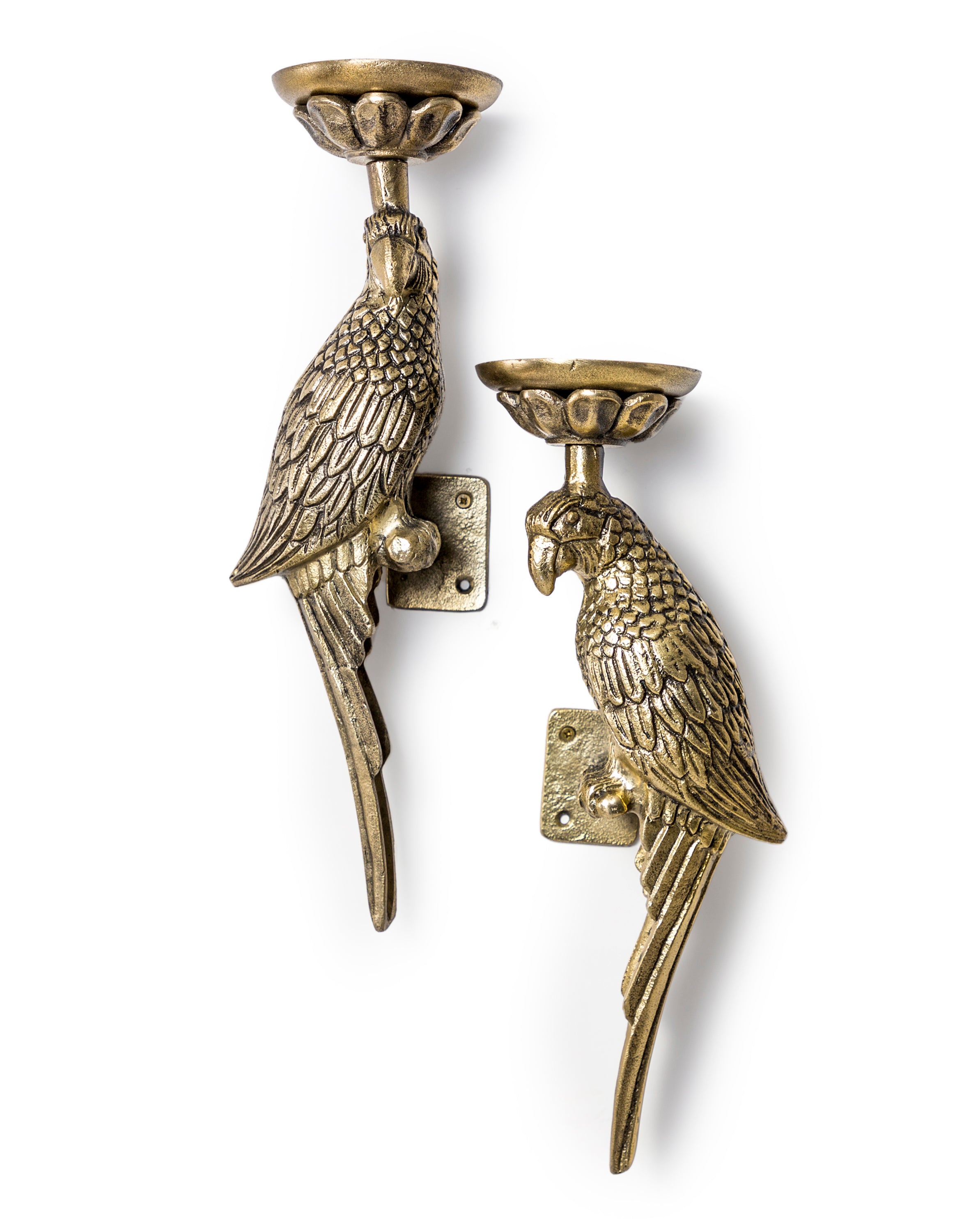 Large Antique Gold Parrot Wall Sconces