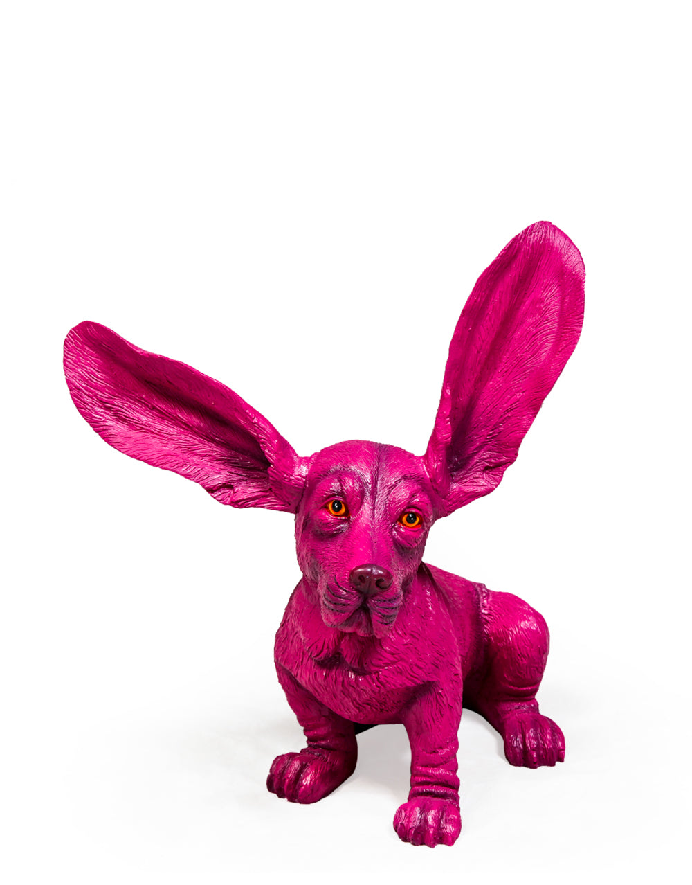Purple Surprised Basset