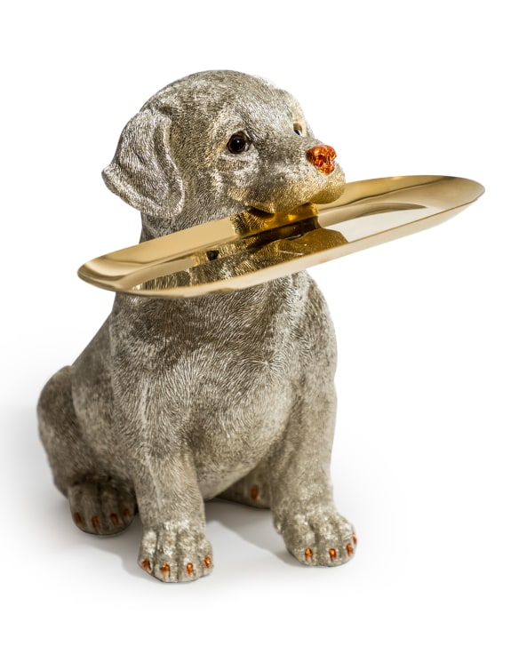 Silver labrador holding a tray