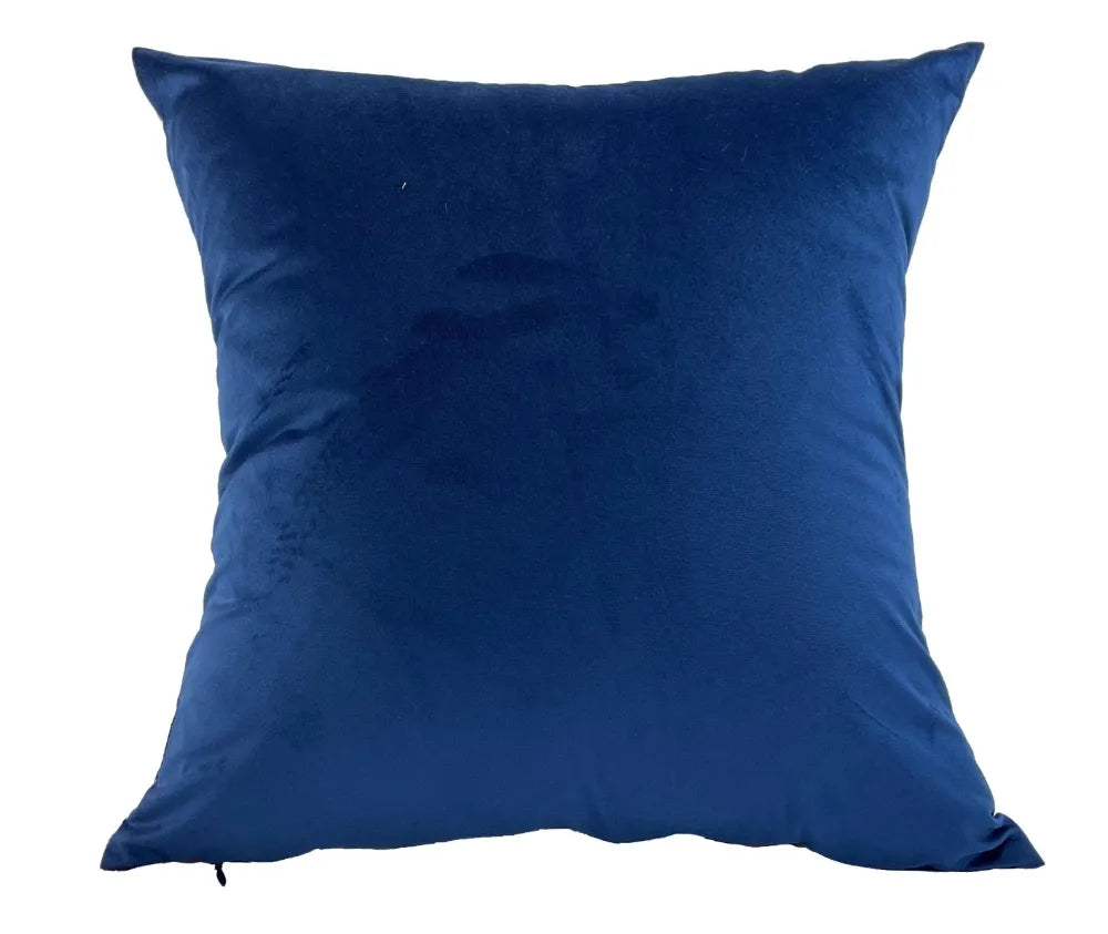 Set of 2 Amigo Cushions
