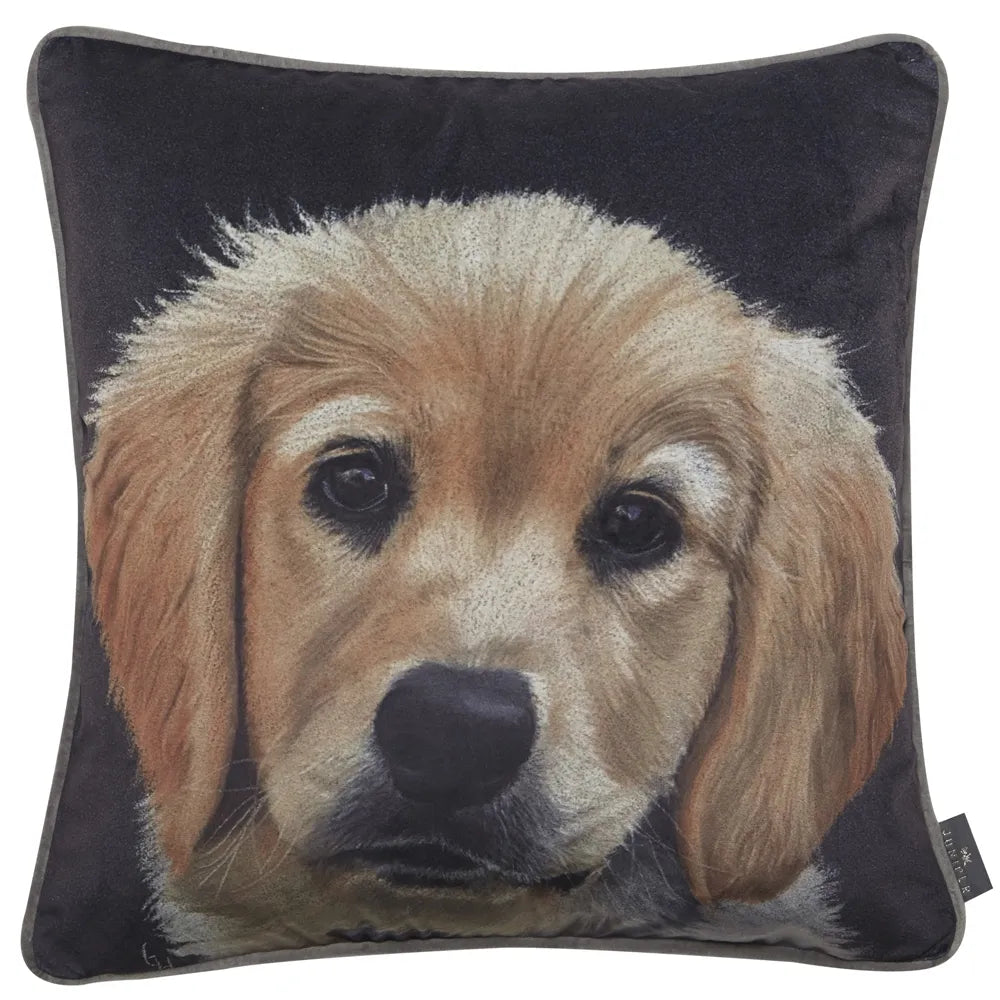 Set of 2 Butter Cushions