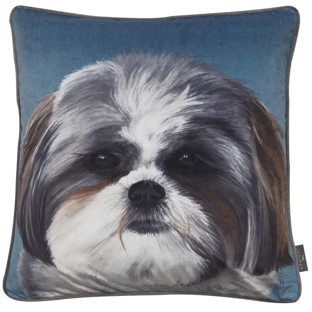 Leia Cushion