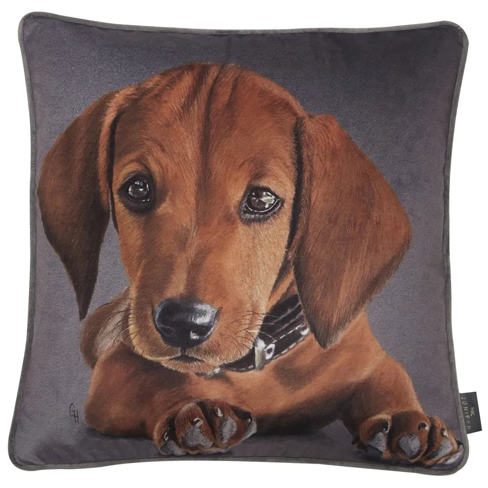 Set of 2 Noodles Cushions