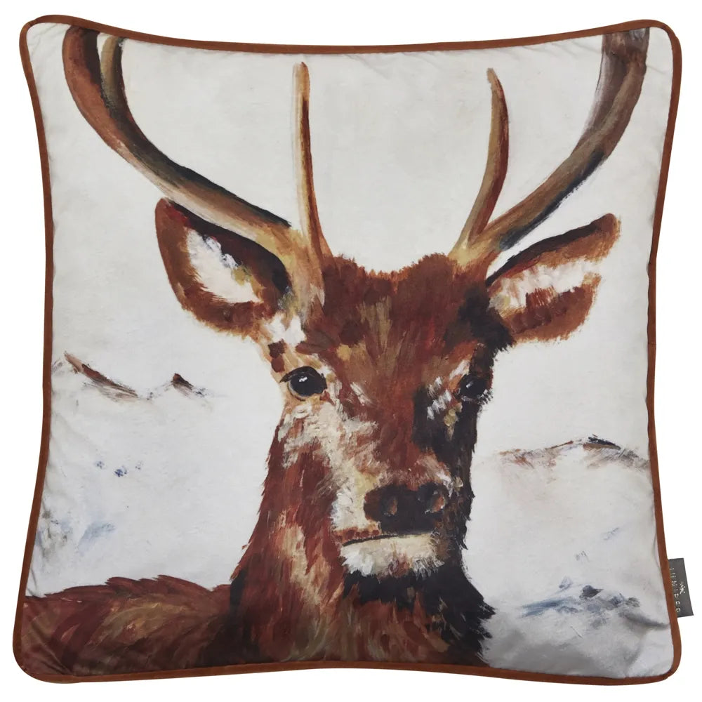 Set of 2 Rugged Cushions