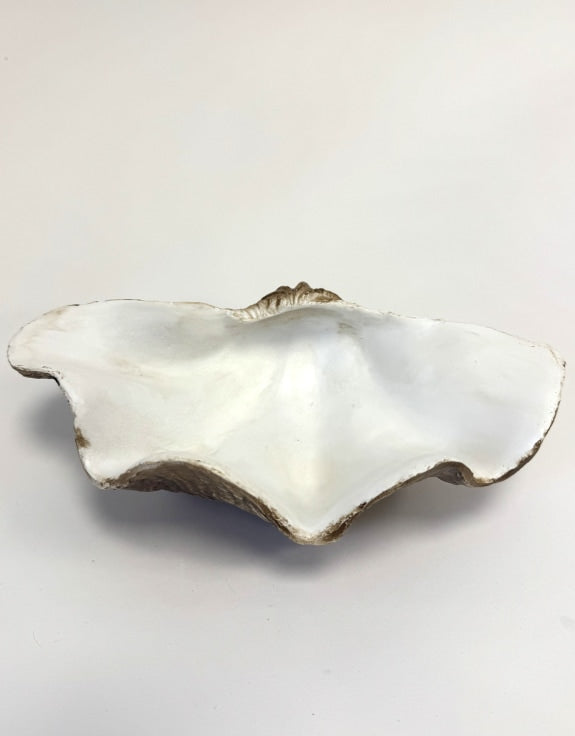 Small Clam Shell Jewellery / Storage Bowl